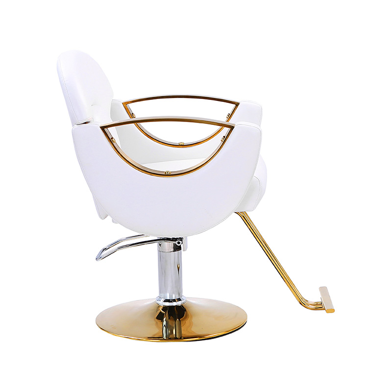 HZ8765BZ / HZ8765WZ / HZ8765PZ / HZ8765Z Kerusi salun penggayaan tugas ringan