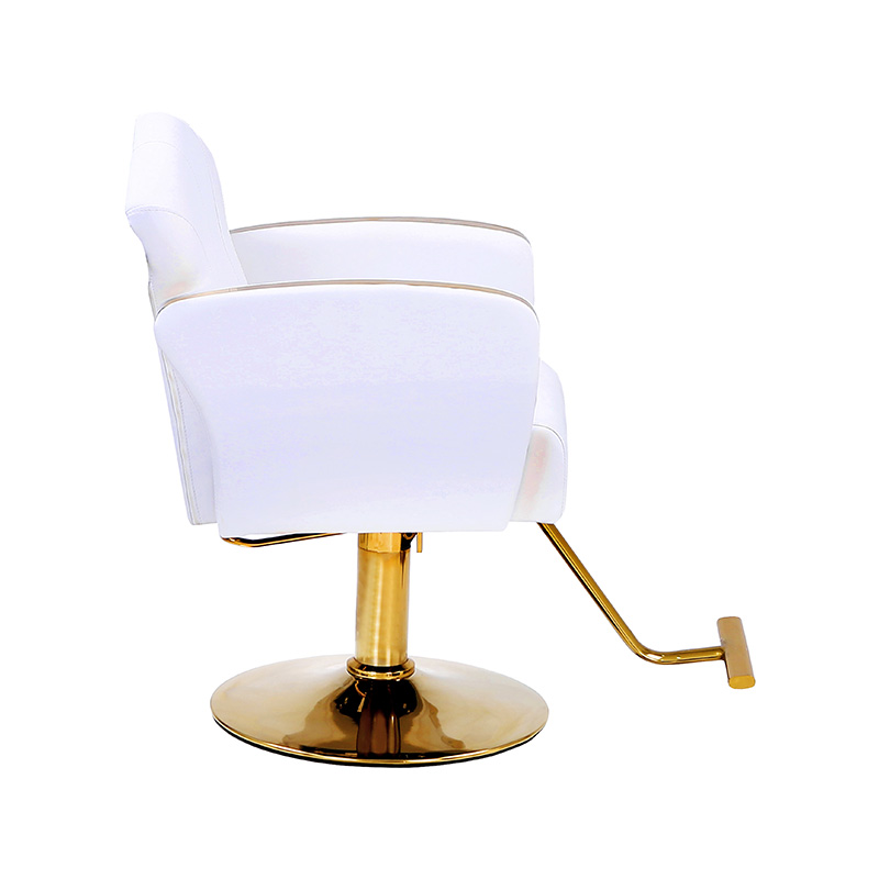 HZ8808 / HZ8808W Kerusi penggayaan salun Auty